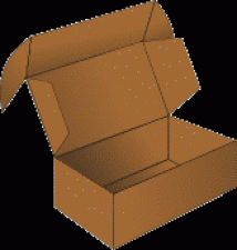 Carton Box Style